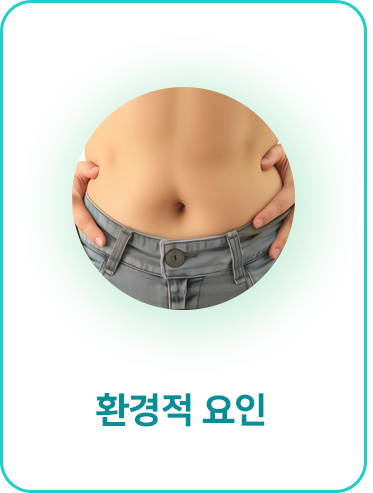 환경적 요인